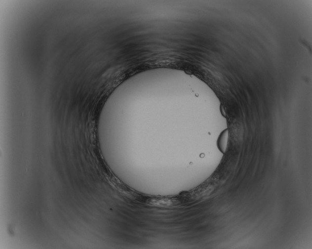 X0000094950181200711291113