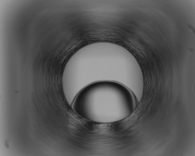 X0000094950184200711291113