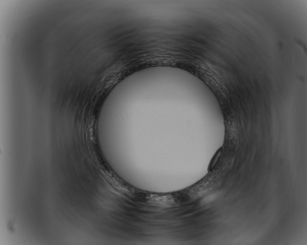 X0000094950185200711291113