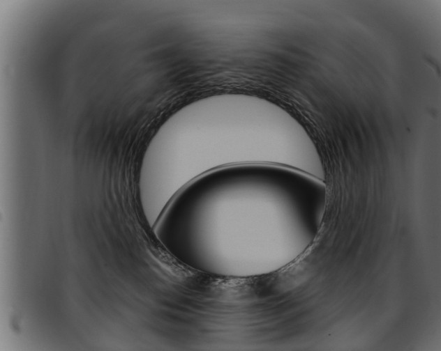 X0000094950186200711291113
