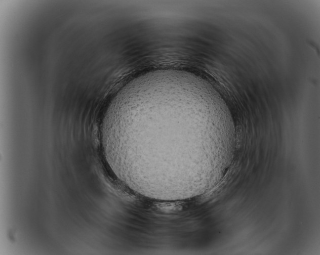 X0000094950187200711291113