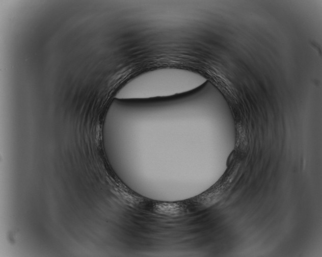 X0000094950189200711291114