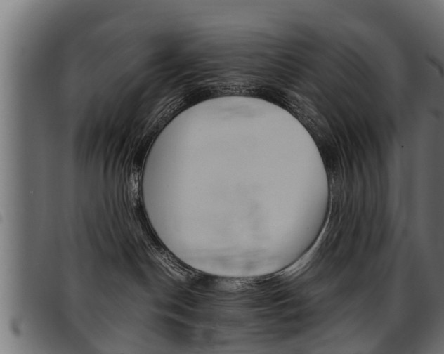 X0000094950190200711291114