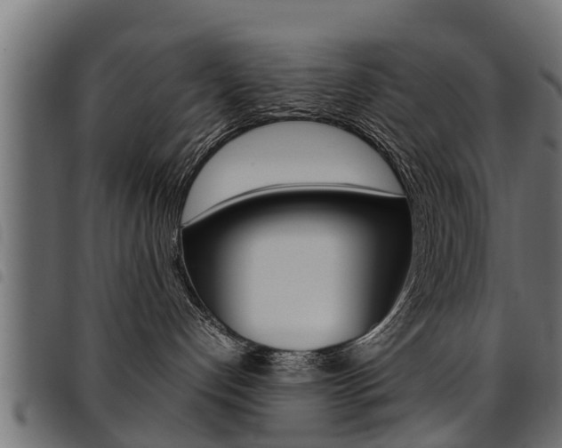 X0000094950192200711291114