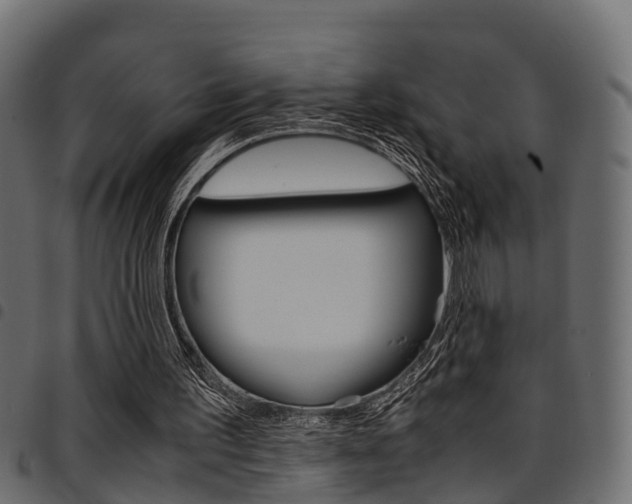 X0000094950195200711291113