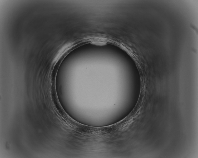 X0000094950199200711291113