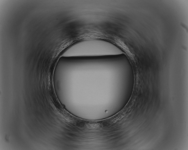 X0000094950202200711291113