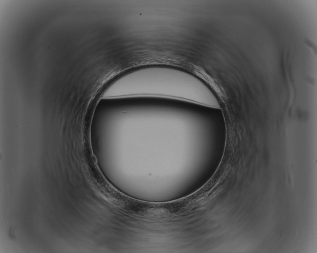 X0000094950203200711291113
