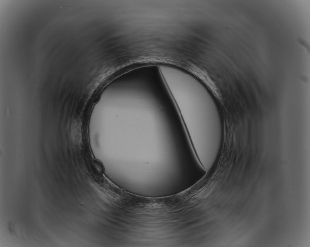X0000094950204200711291113