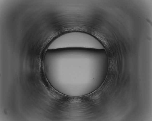 X0000094950206200711291113
