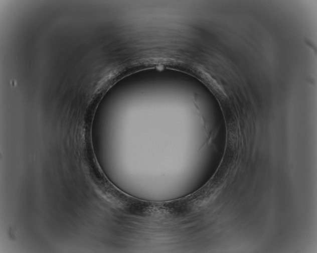 X0000094950207200711291113