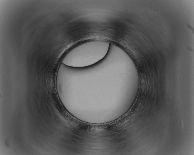 X0000094950208200711291113