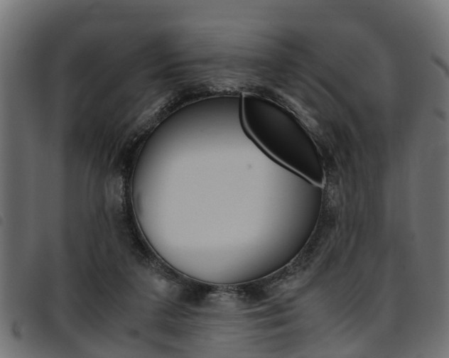 X0000094950211200711291112