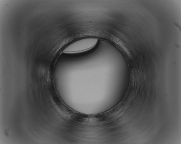 X0000094950212200711291112