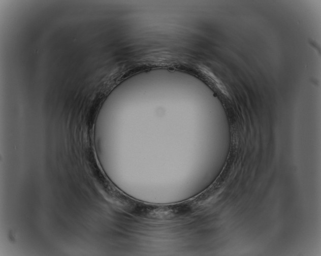 X0000094950213200711291112