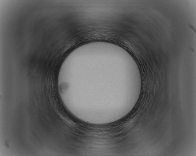 X0000094950215200711291112