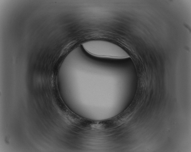 X0000094950216200711291112