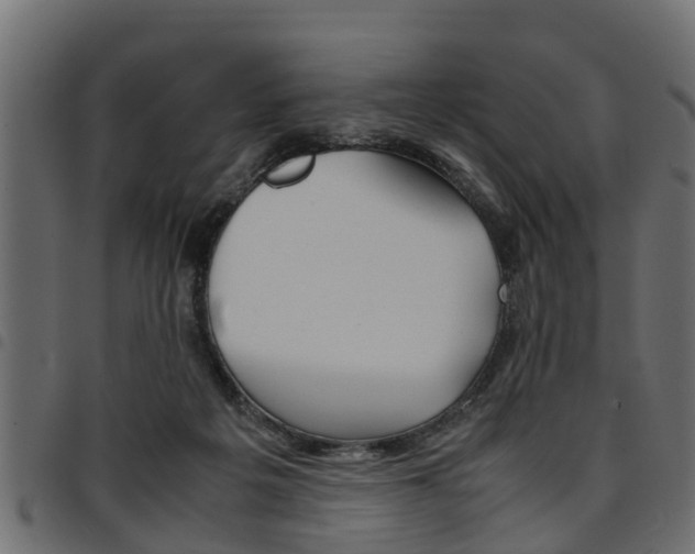 X0000094950217200711291112