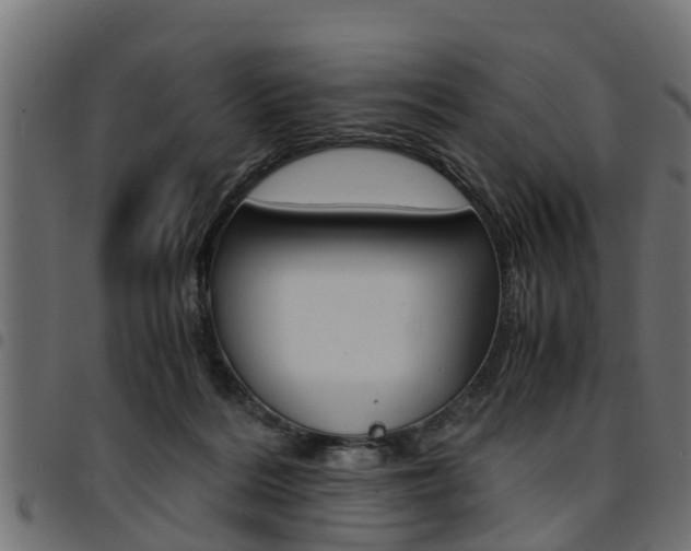 X0000094950220200711291112