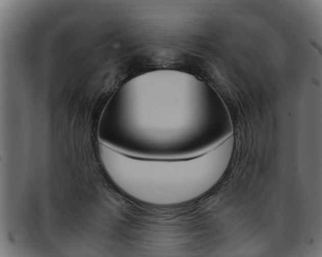 X0000094950221200711291112
