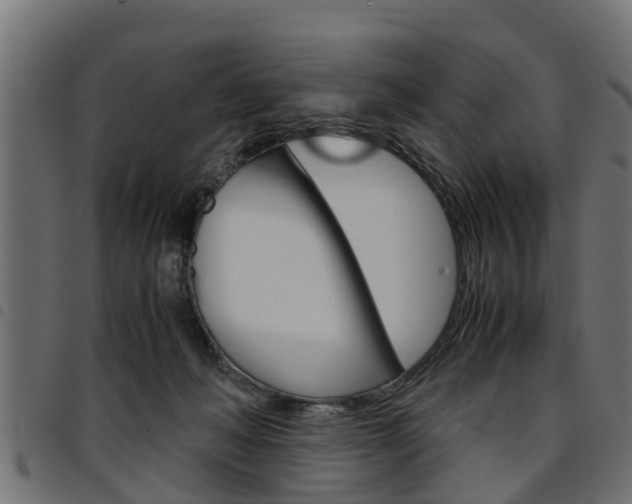 X0000094950222200711291112