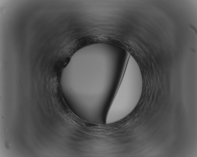 X0000094950223200711291112