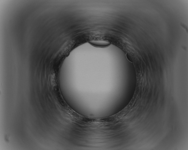 X0000094950224200711291112