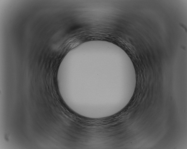 X0000094950225200711291112