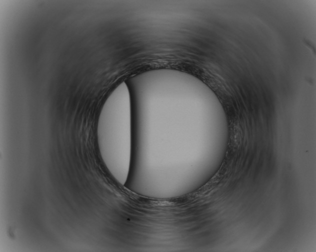 X0000094950226200711291112