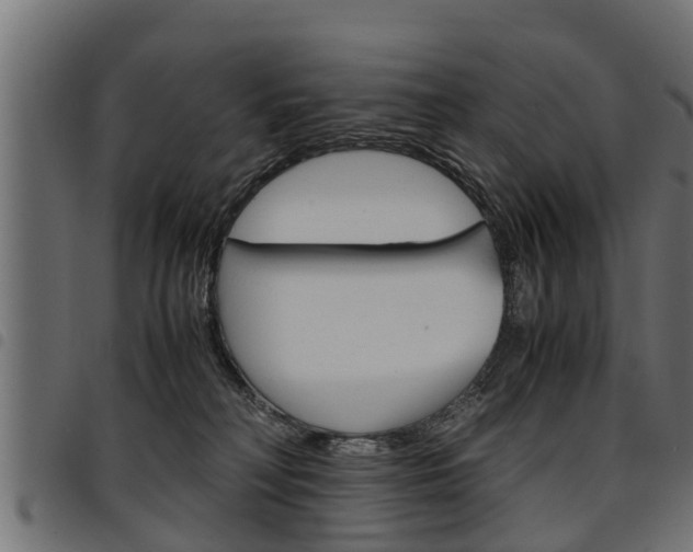 X0000094950230200711291112