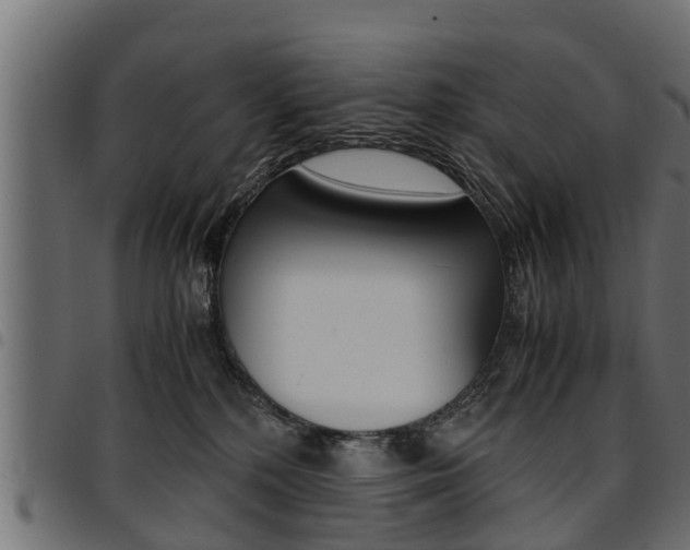 X0000094950232200711291112