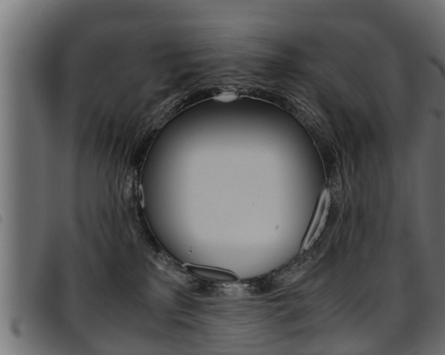 X0000094950233200711291112