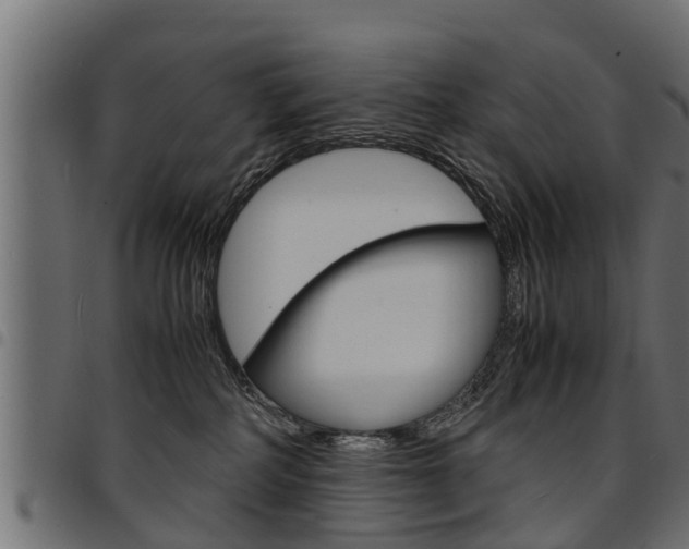 X0000094950234200711291112
