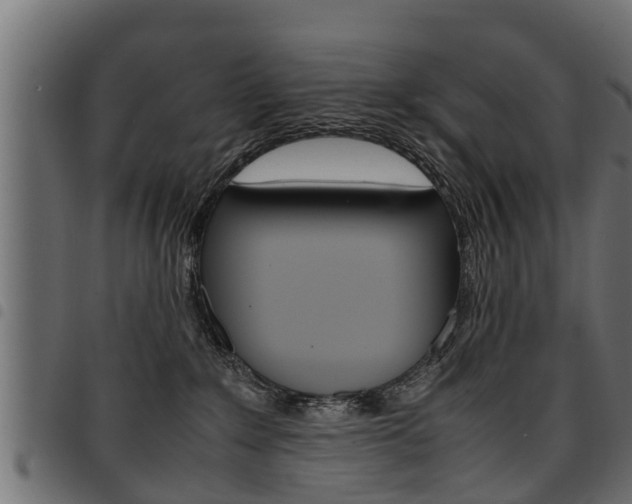 X0000094950235200711291112