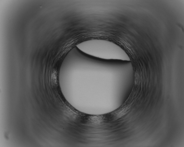 X0000094950238200711291112