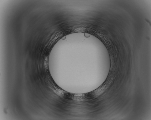 X0000094950240200711291112