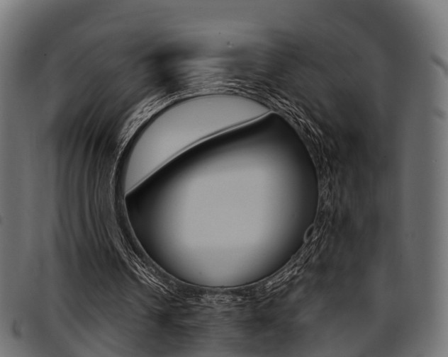 X0000094950242200711291111