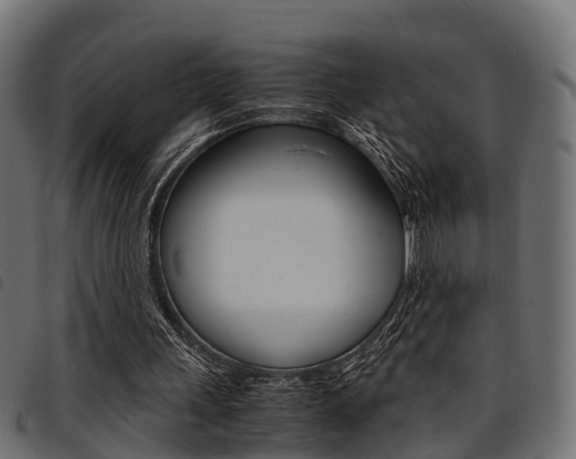 X0000094950243200711291111