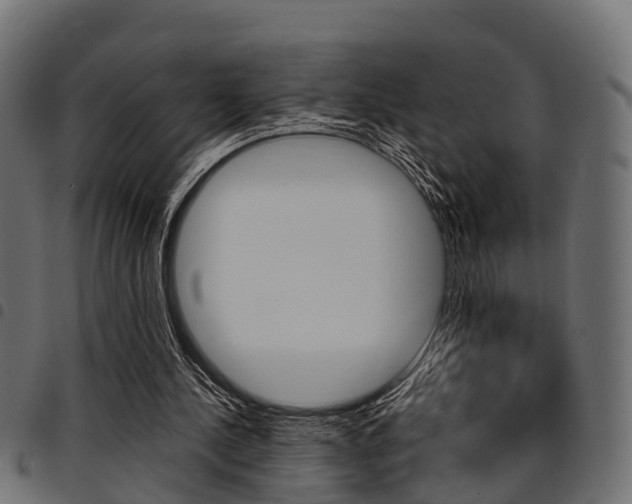 X0000094950244200711291111