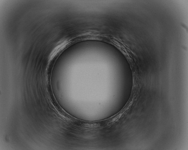 X0000094950245200711291111