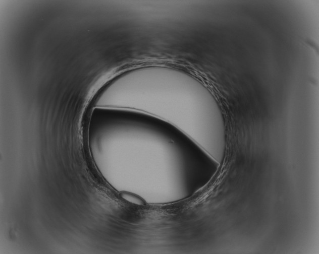 X0000094950246200711291111