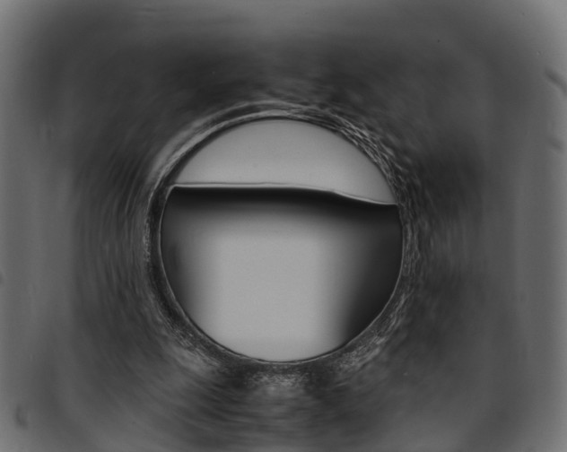 X0000094950247200711291112
