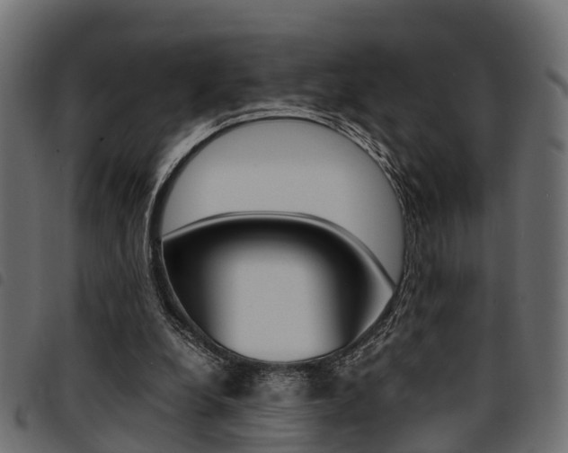 X0000094950248200711291112