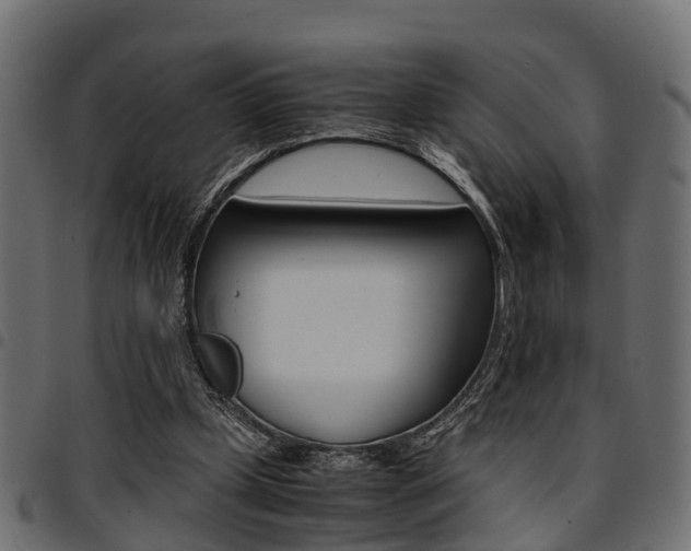 X0000094950249200711291112
