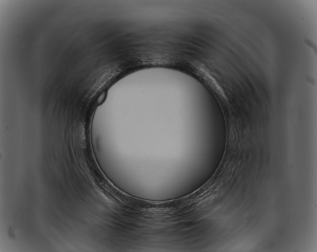 X0000094950251200711291112