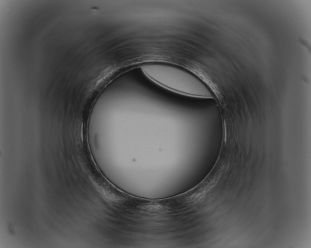 X0000094950253200711291112