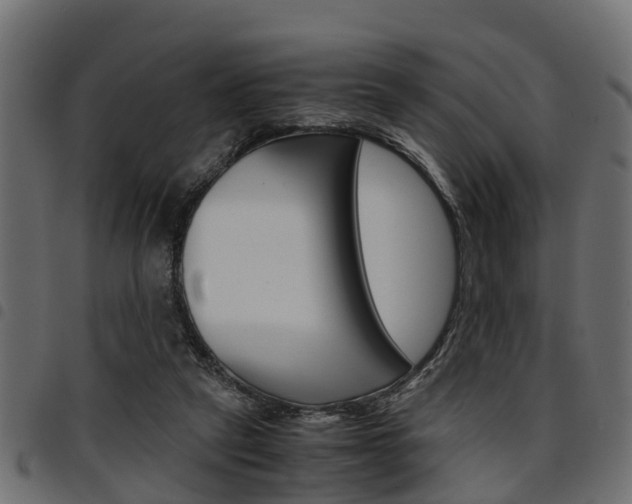 X0000094950257200711291112
