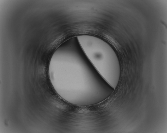 X0000094950258200711291112