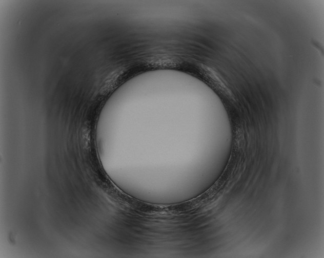 X0000094950259200711291112