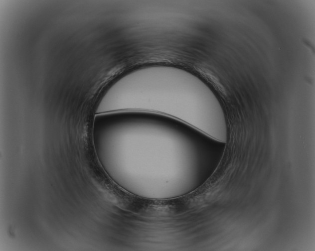 X0000094950260200711291112
